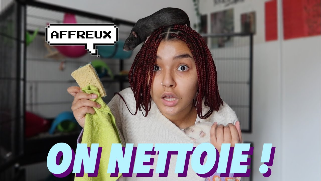 ON NETTOIE LA CAGE DES RATS ENSEMBLE (+ je réponds à vos questions)