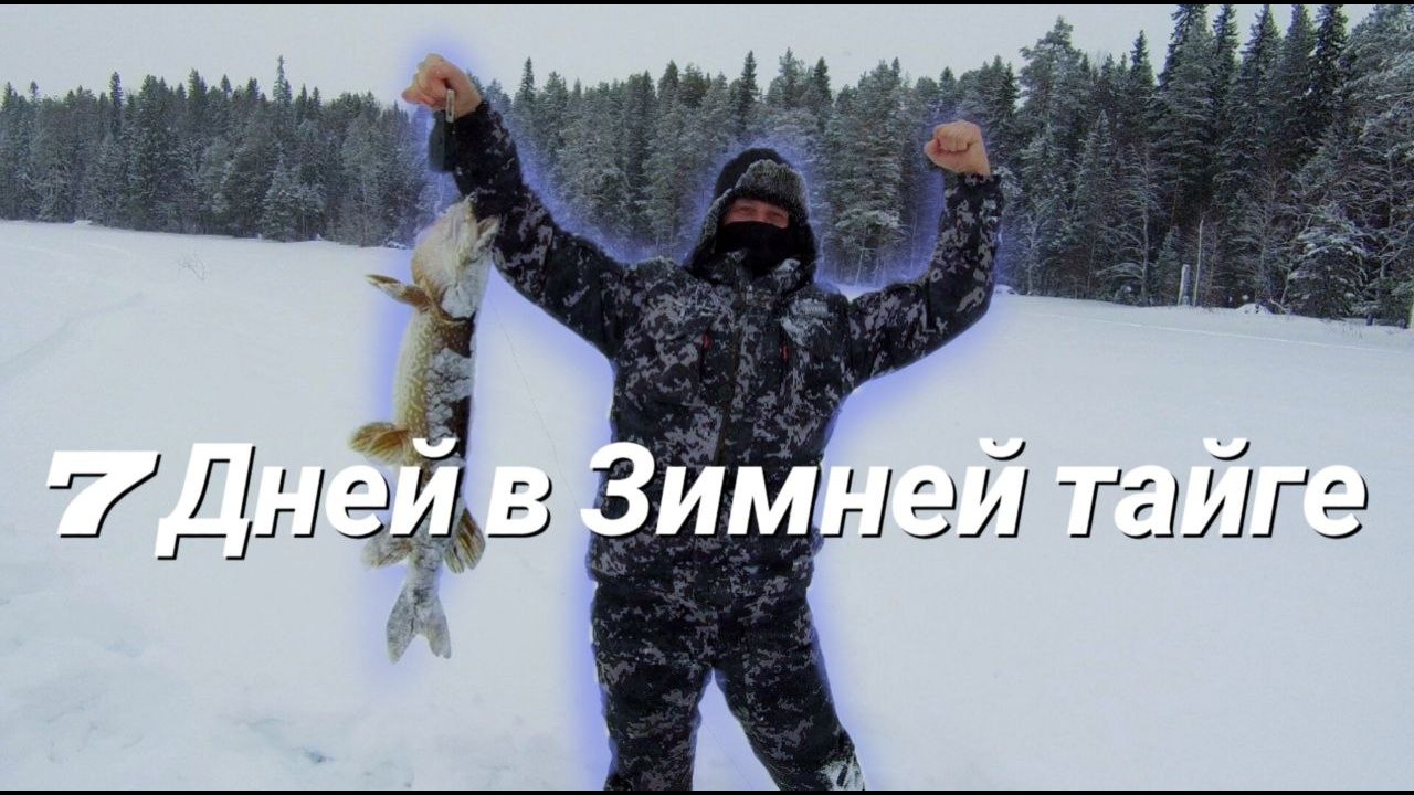 Зимний выезд на НЕДЕЛЮ: ловля трофейной щуки и неожиданный окунь на самоловки