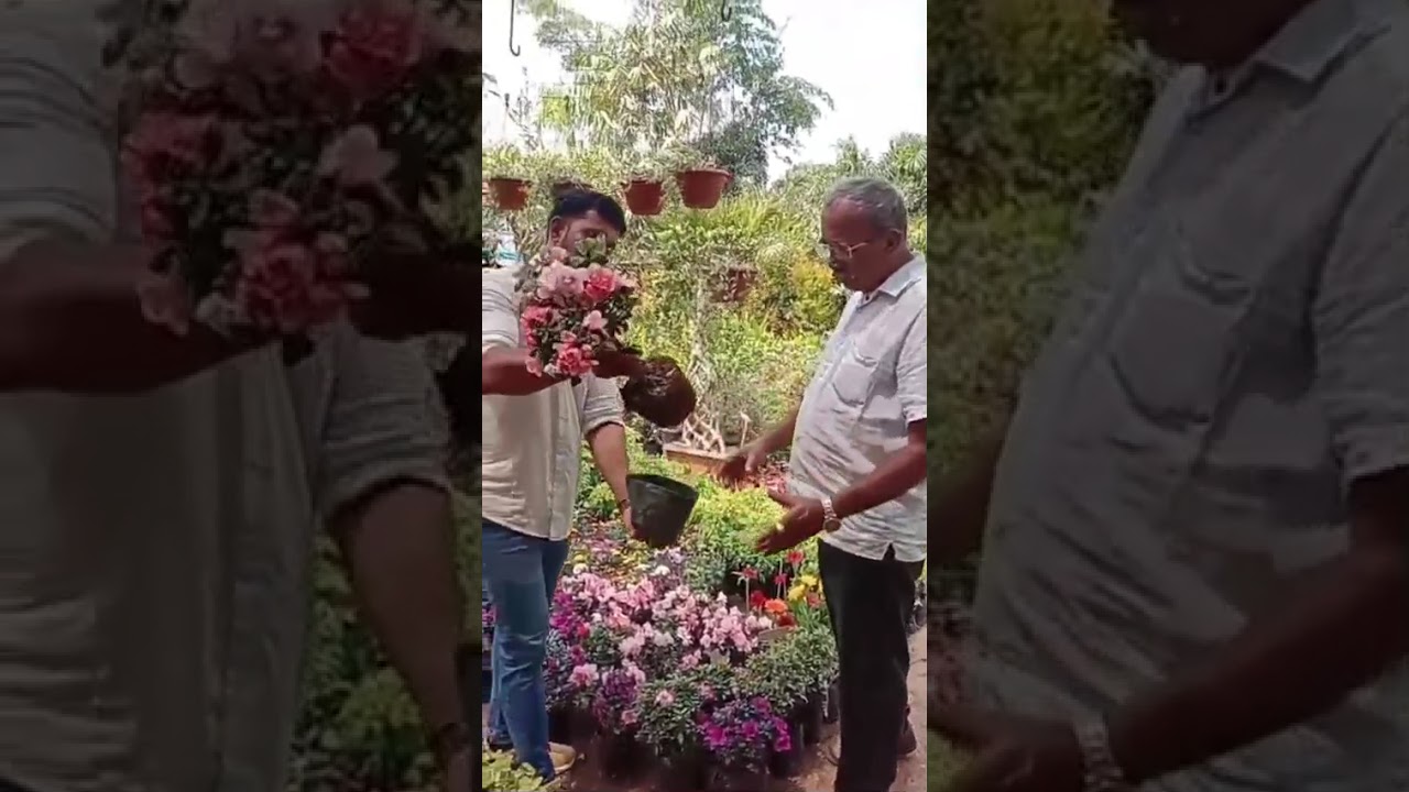 A VISIT OF OUR RESPECTED CUSTOMER PADMANABHA SIR 🙏🙂
