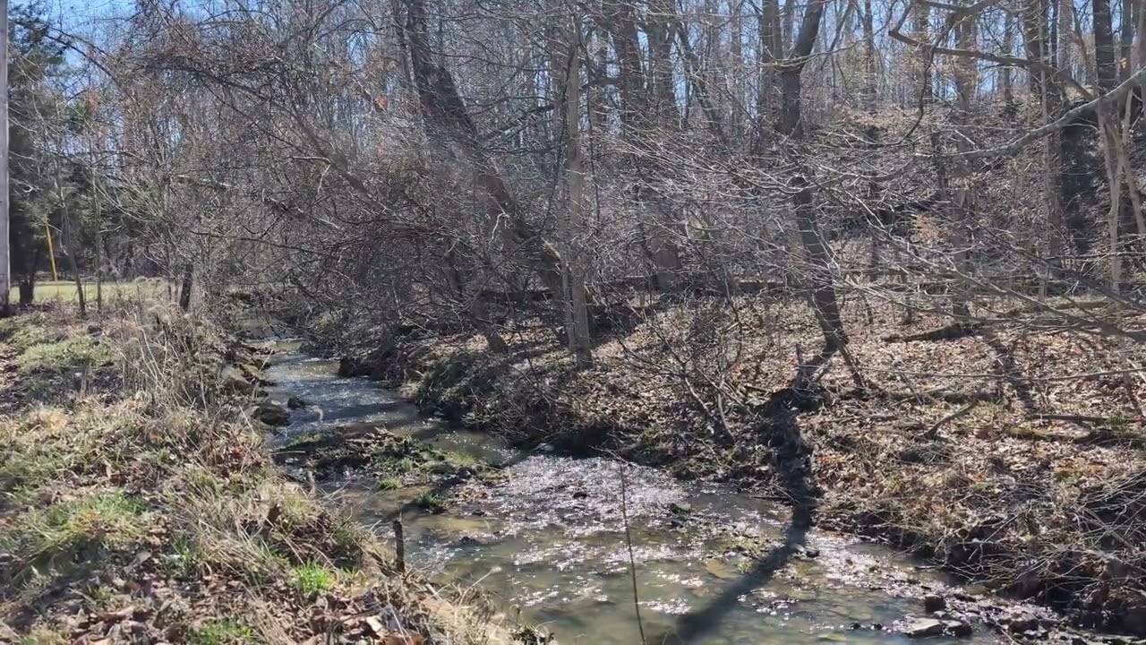 Indiana early spring