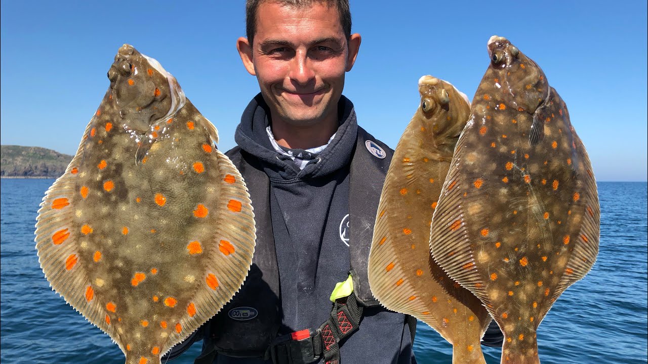 Sea Fishing Cornwall - Plaice, Ray and More | The Fish Locker