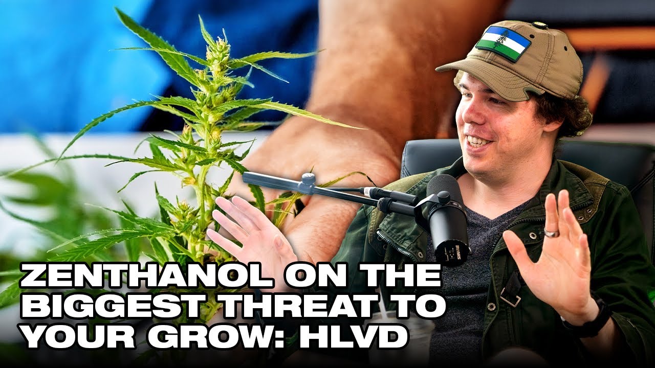 What&rsquo;s Destroying Your Grow?
