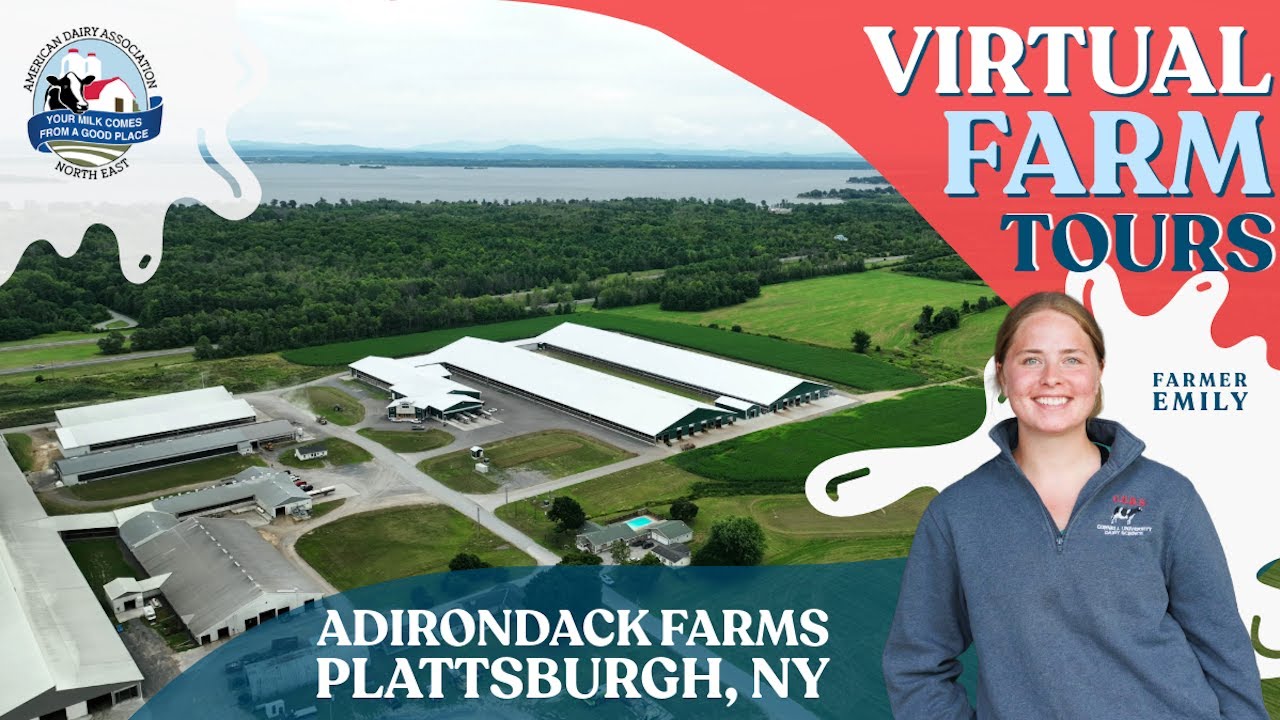 Dairy Deep Dive - Virtual Tour of Adirondack Farms