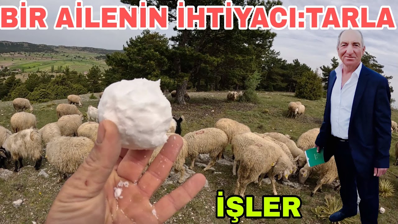 BİR AİLENİN KIŞLIK İHTİYACI~TARLA~EKİLDİ~BABAMLA GİDİYORUZ~TUZ TOPU