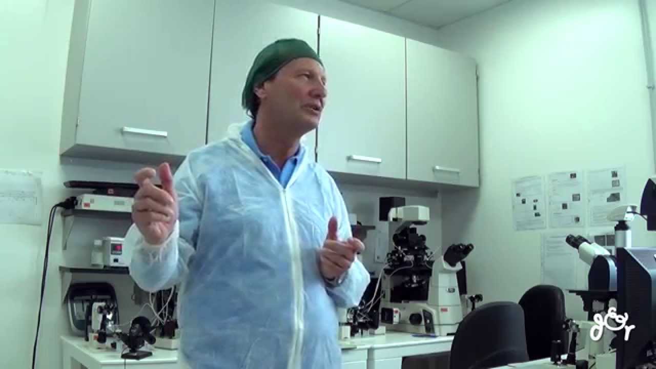 Fecondazione Assistita - I Passaggi in Laboratorio per una Gravidanza sicura