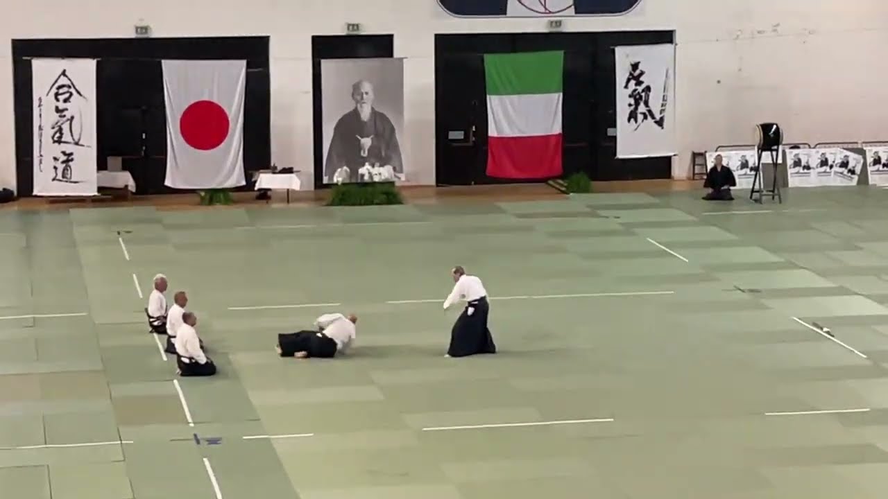 Hiroshi Tada Shihan - Aikikai Italia Embukai 2024 (Demonstration) - Bologna