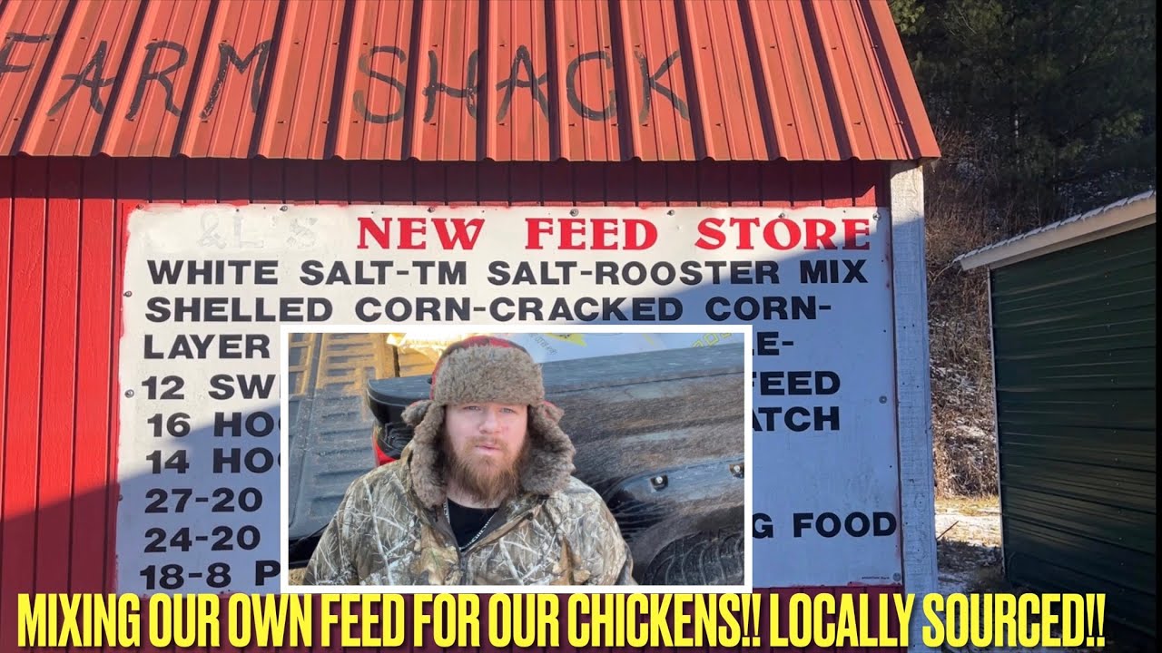 Using locally sourced feed to OVERCOME the issue with BigBoxStore feed| Mix your own Chicken Feed