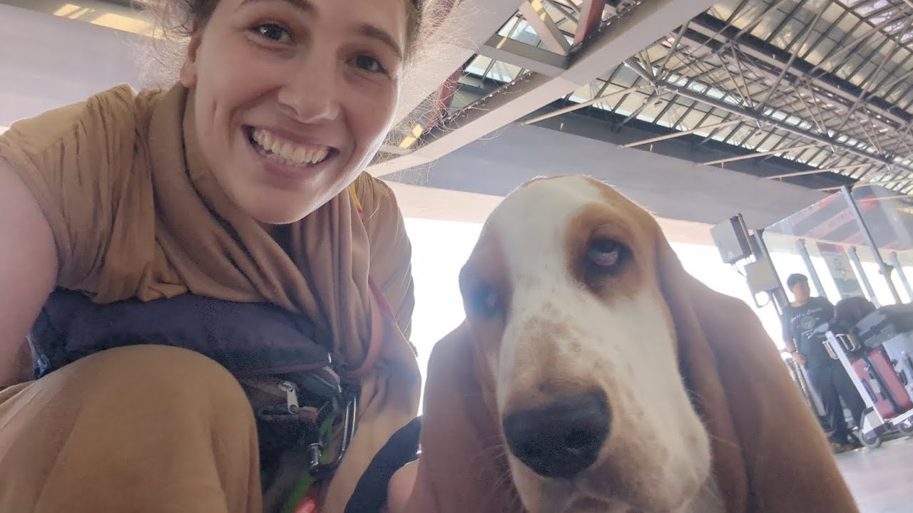 Flying to the Philippines with my 4 Month Old Basset Hound Pup!✈️💝🐾 Christian Travel Vlog🙏🙌