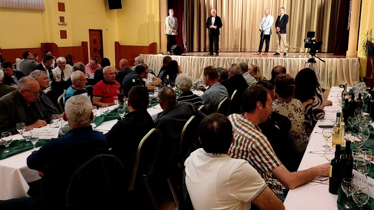 REGIONÁLNA SÚŤAŽ VÍN, ŠTÚROVO - REGIONÁLIS BORVERSENY, PÁRKÁNY -  FHD