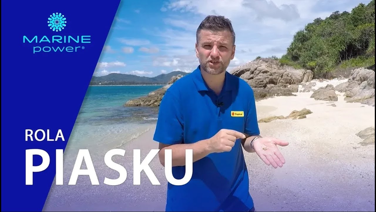 TROPICAL MARINE POWER | Wszystko, co powinieneś wiedzieć o roli piasku w środowisku morskim