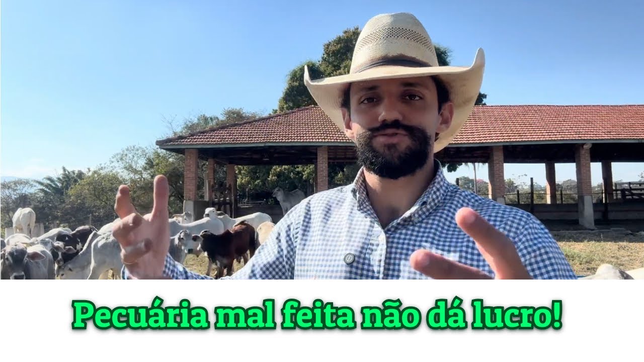 Economizar na pecuária é o maior erro