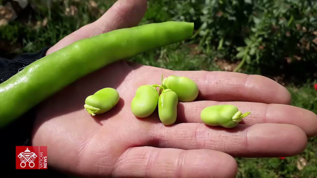 Racconti spontanei di una rinascita che parte dal lavoro della terra