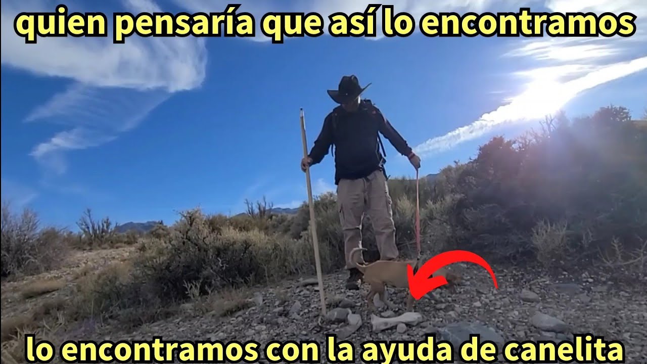 mis aventuras del oeste #390 lo encontramos con la ayuda de canelita