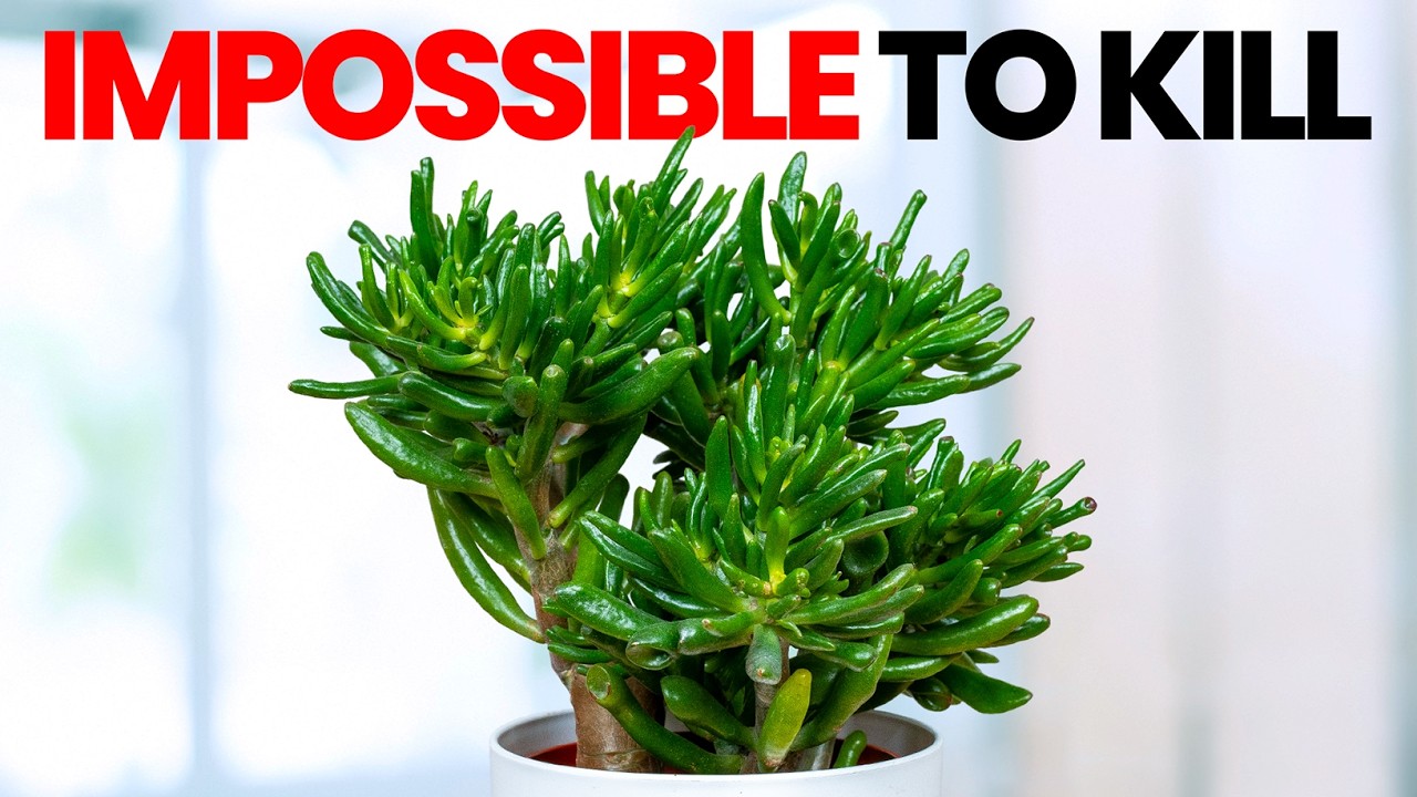 20 Impossible to Kill Plants You Should Buy in 2026