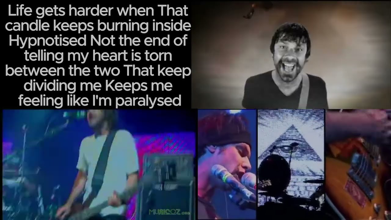 Cog - Bird Of Feather Fan MV with lyrics