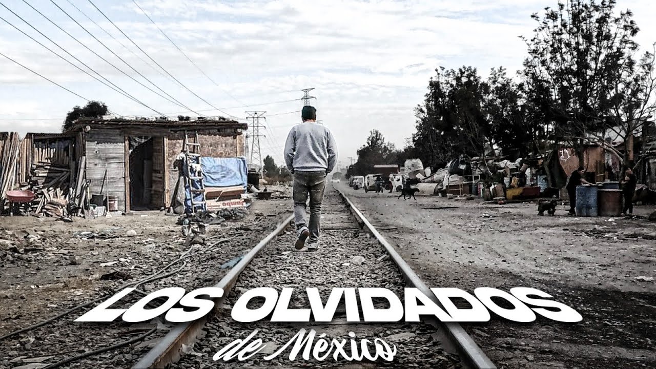 Viven en Casas de CARTÓN