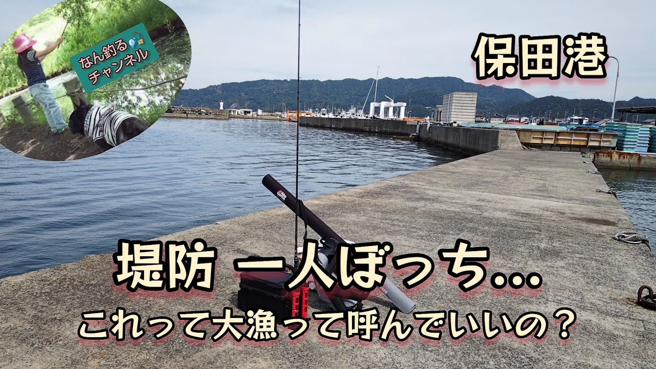 保田港 アジ釣りですが...堤防一人ぼっち、これって大漁と呼んでいいの？