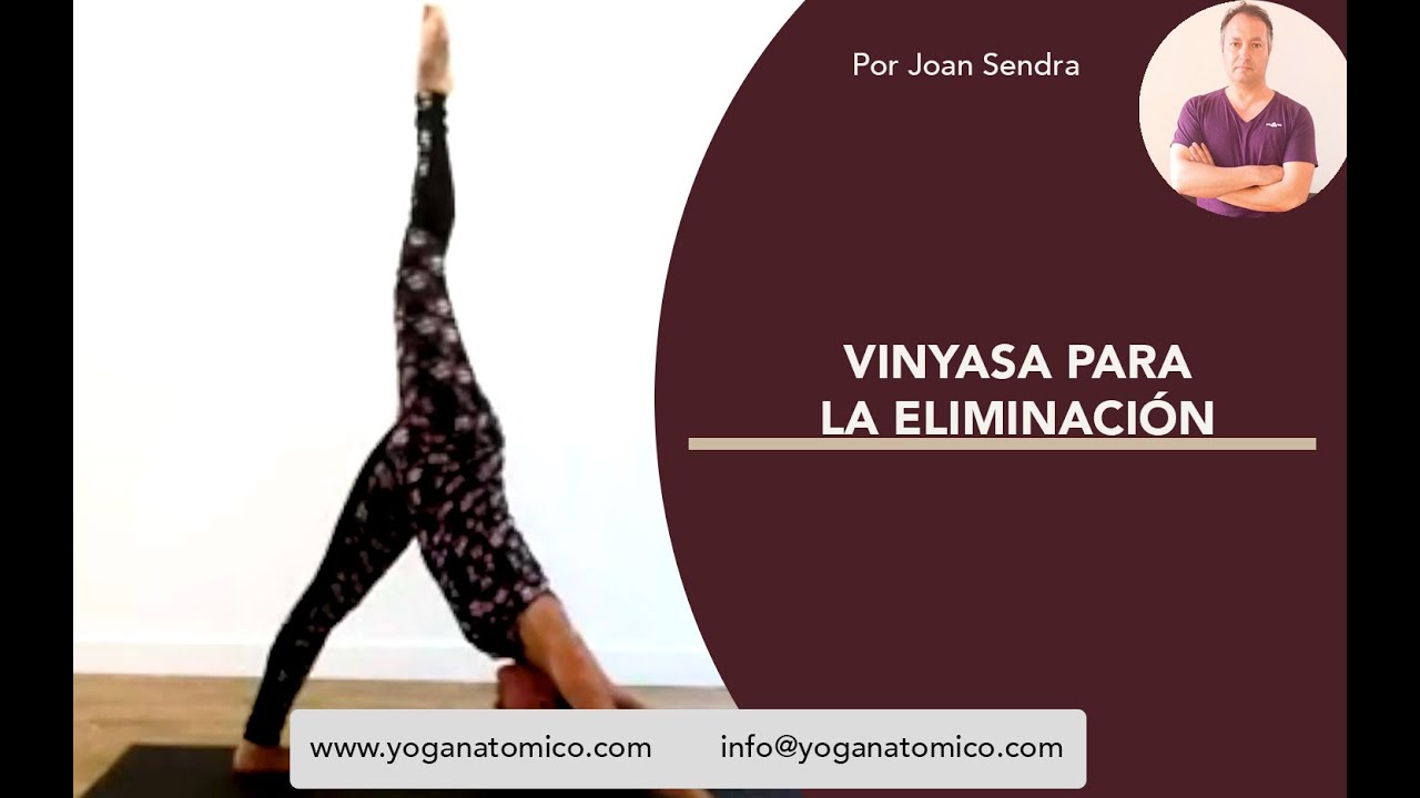VINYASA PARA LA ELIMINACIÓN