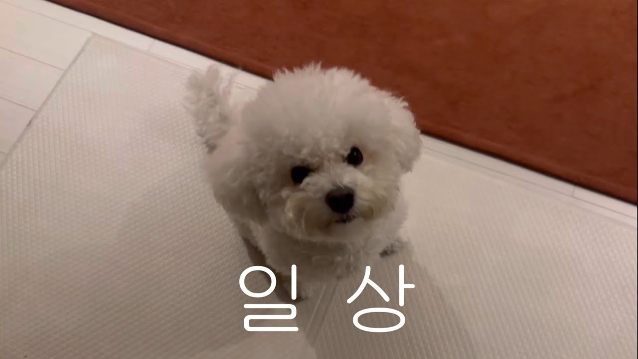 아직 2025에 사는 사람