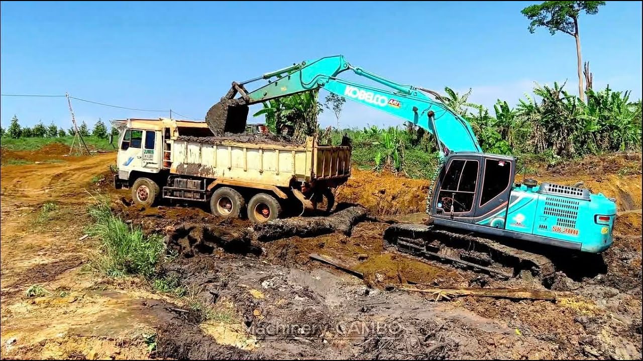 The truck brings the excavator to dig up the soil and use it to make fertilizer