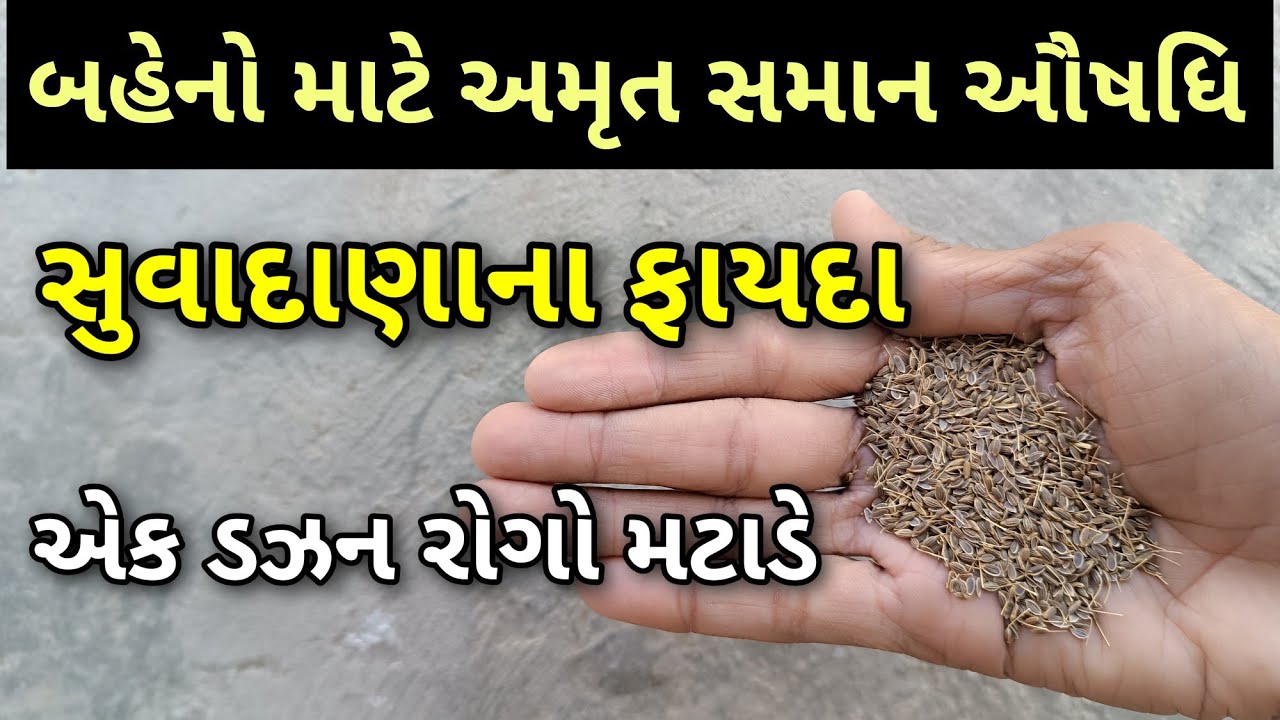 આ ઓસડીયું બહેનો માટે અમૃત છે || સુવાદાણા ખાવાના ફાયદા || सोआ खाने के फायदे || sowa benefits in hindi