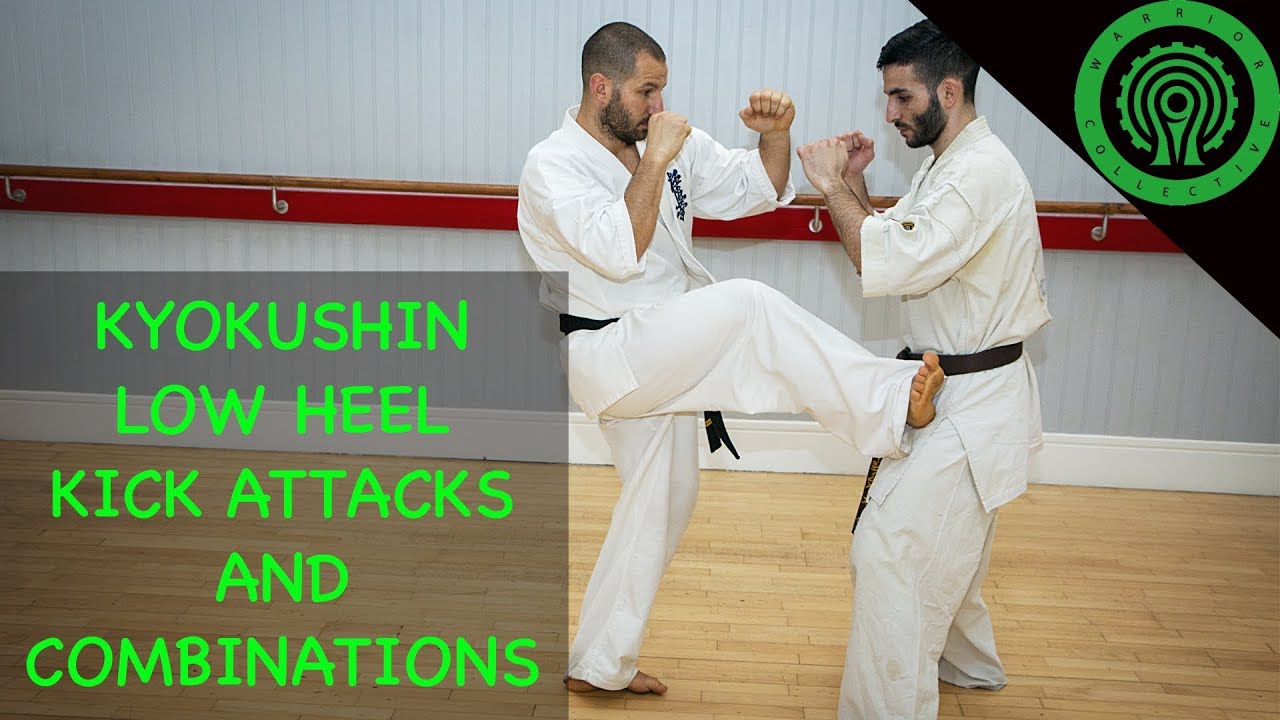 Kyokushin Karate Low Heel Kick Attacks and Combinations Tutorial