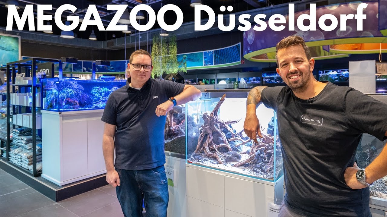 Megazoo Düsseldorf | Liquid Nature on Tour
