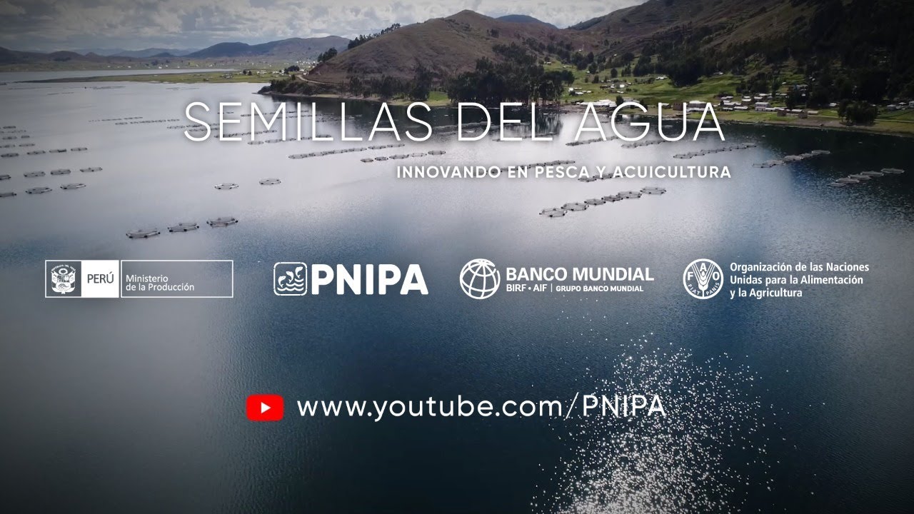 Semillas del #Agua - Introducción. Serie producida por PNIPA con apoyo del Banco Mundial y la FAO.