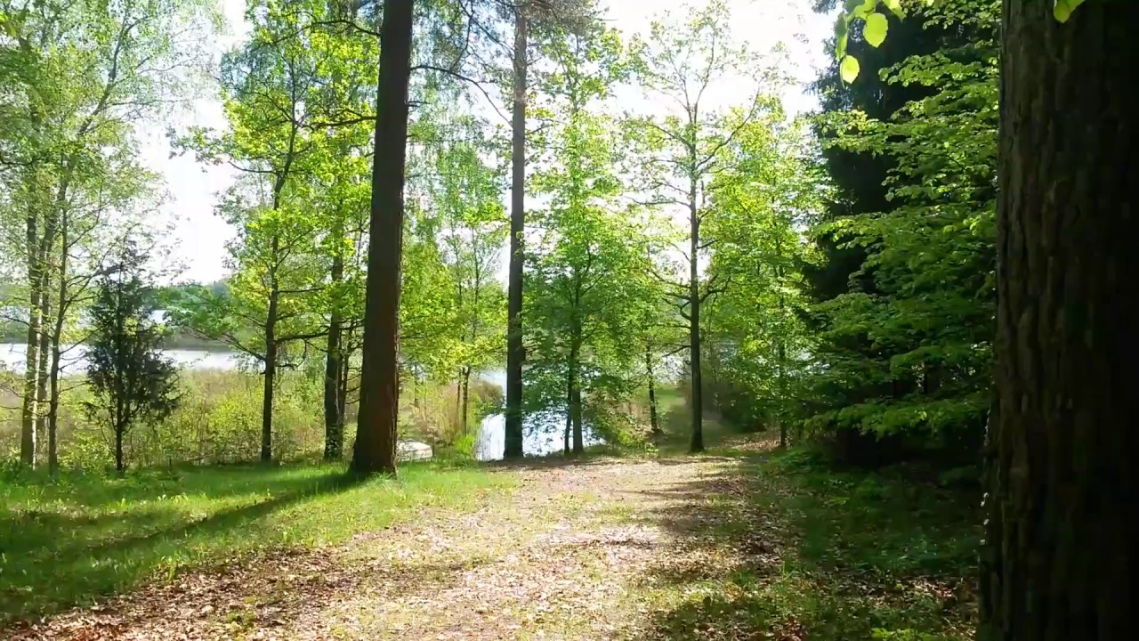 Ferienhaus Schweden 