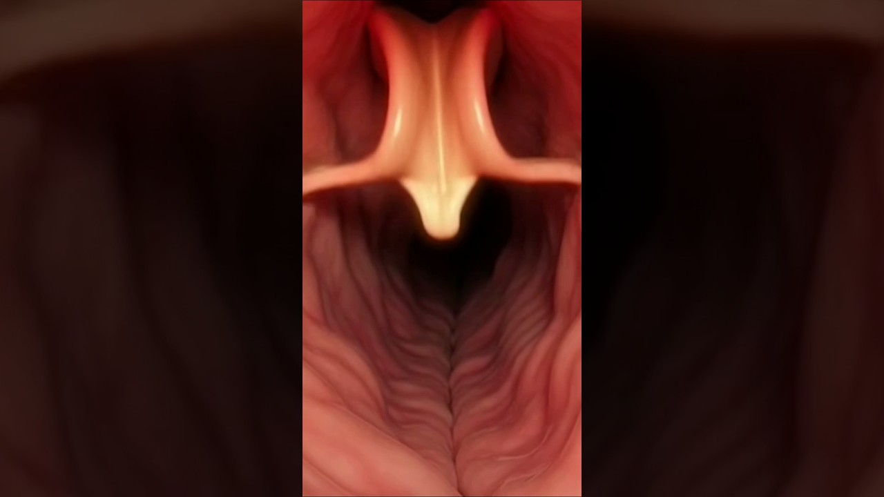 Fix Your Gut, Transform Your Life! 🌍 3D Health News Update #gravitatehealth #healthwire #healthium