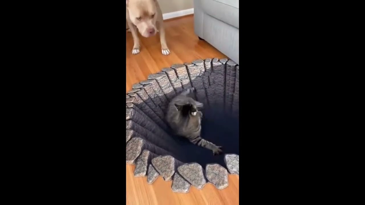 so funny #viral #trending #short