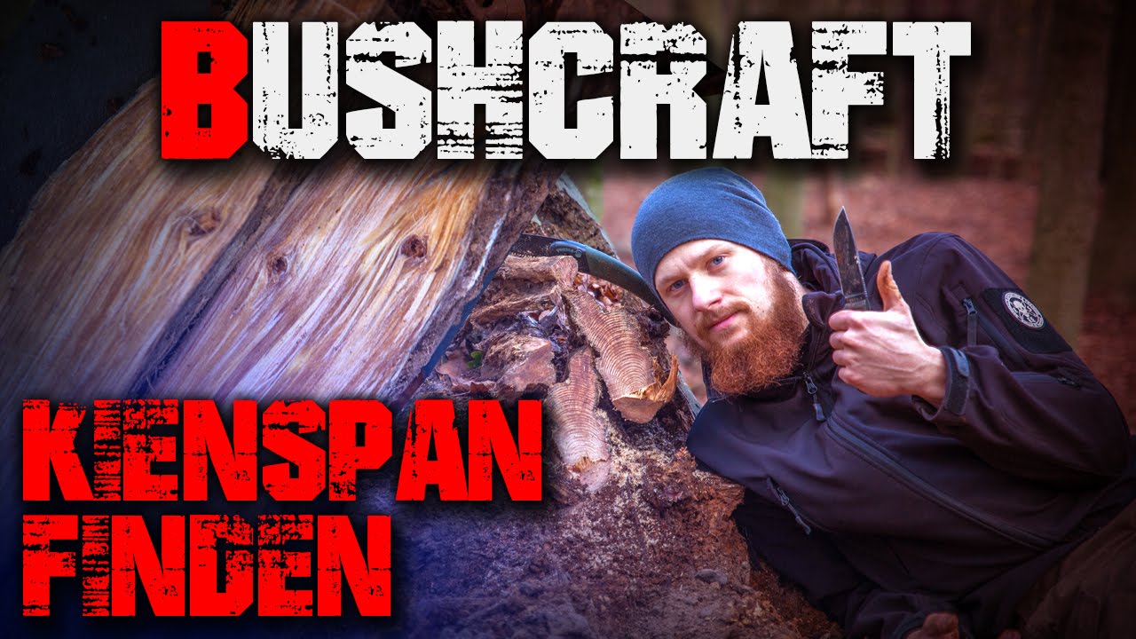 Kienspan suchen finden erkennen sammeln ernten Feuer Zunder (german/deutsch) Bushcraft Survival