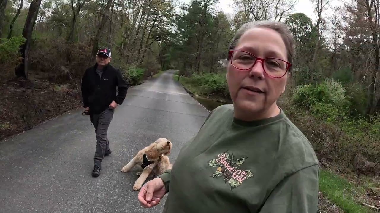 Stony Fork Campground Jefferson National Forest campsite tour 2024