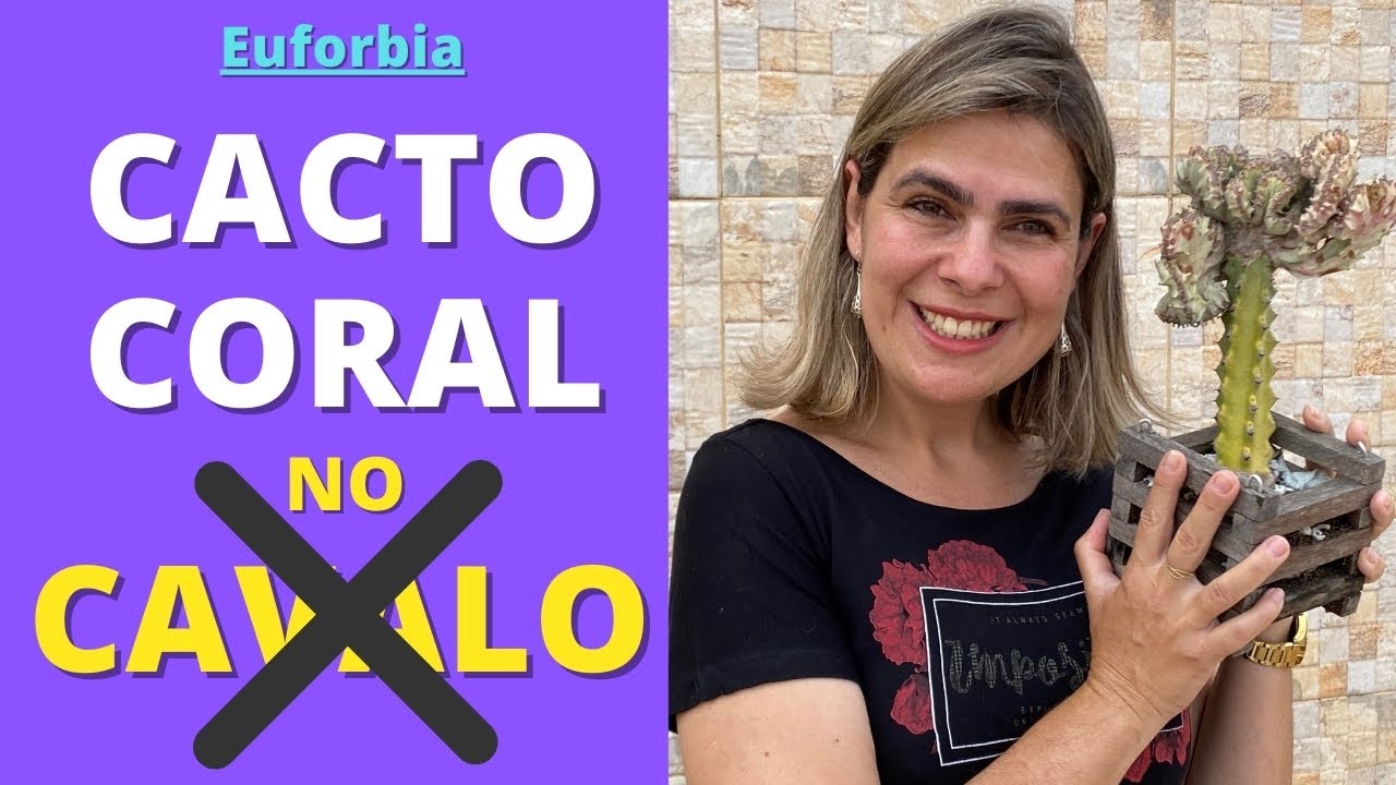 Cacto Coral: TÉCNICA para remover do Cavalo e FAZER MUDAS/Grazi Bittencourt