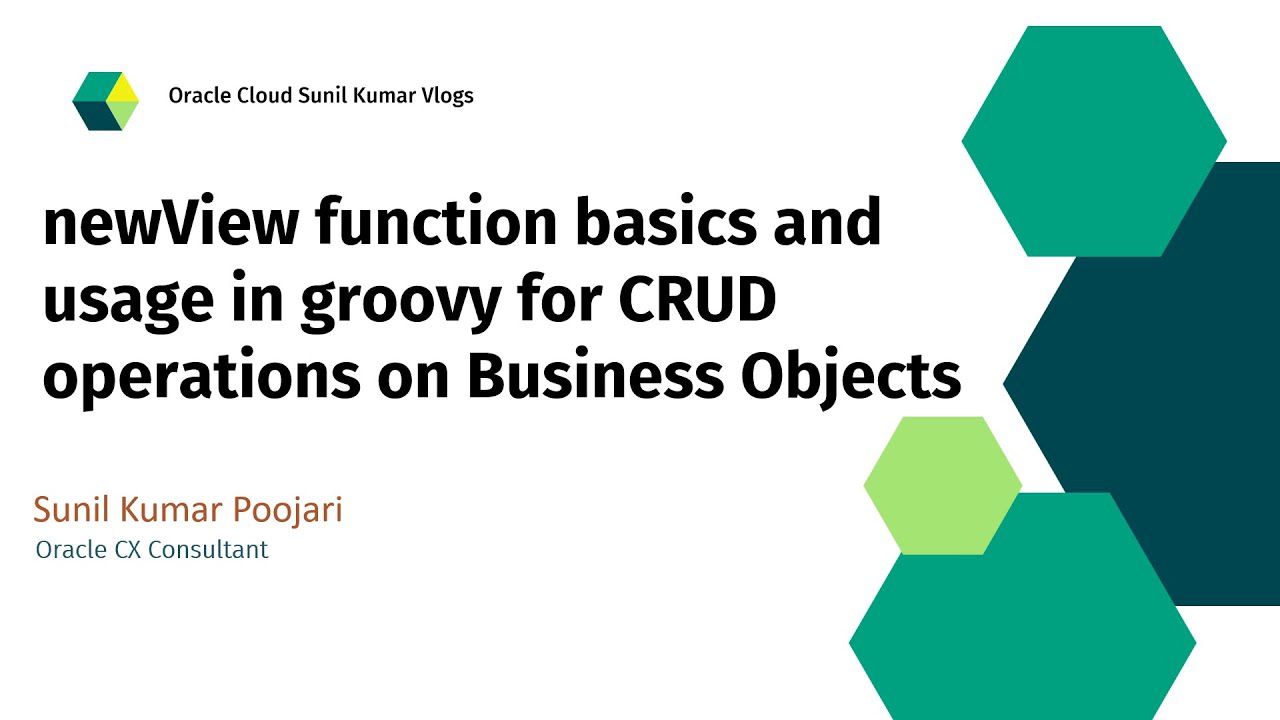 newView function basics and usage in groovy for CRUD operations on Business Objects