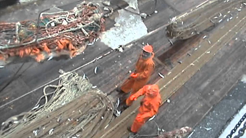 выборка трала.жесть! .mpg