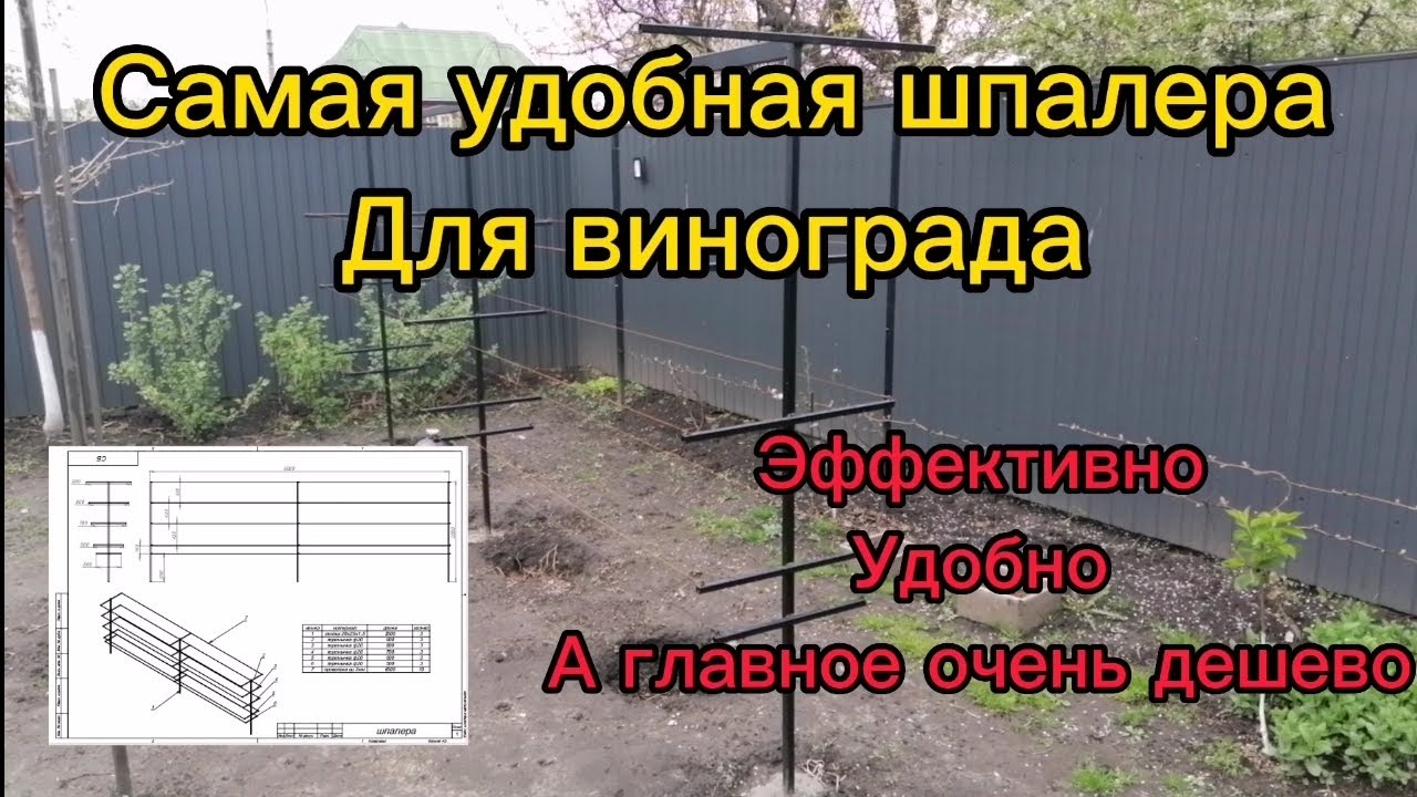 шпалера для винограда. дешёвый, удобный, эффективный вариант!