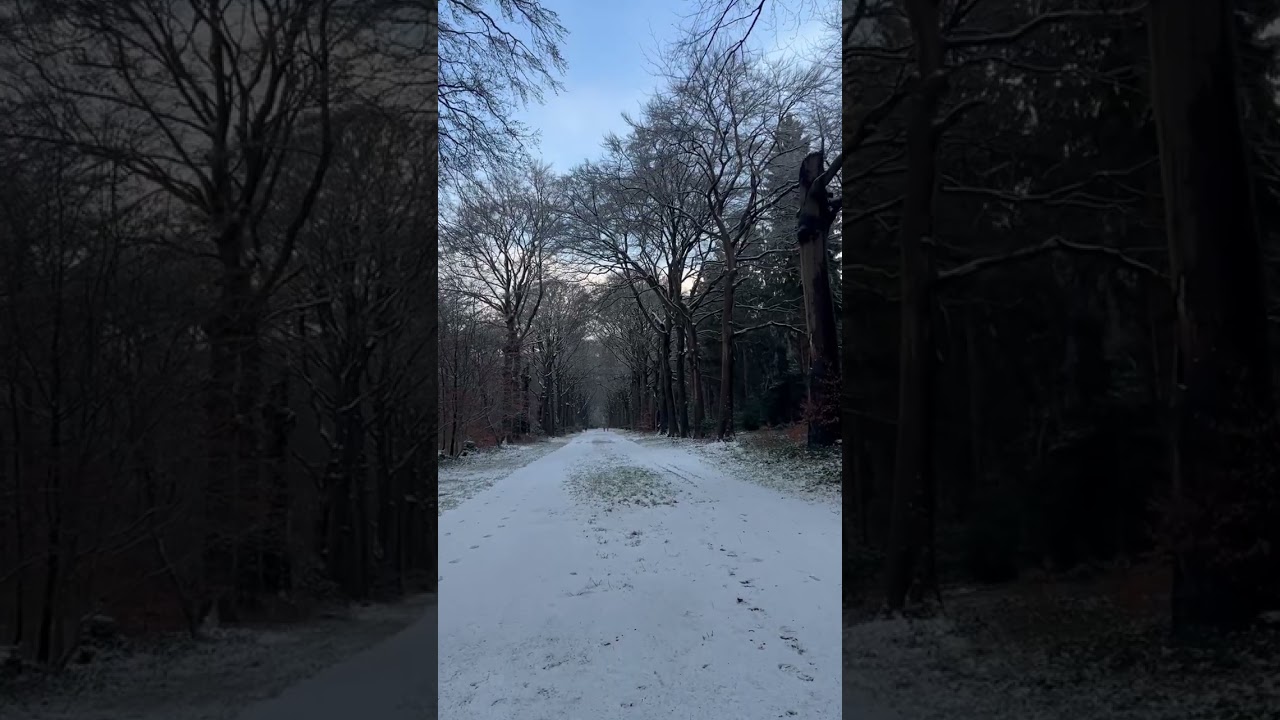 Sneeuw in 't Corversbos - #wandelen #nature #sneeuwpret #sneeuw #sneeuwval #corversbos