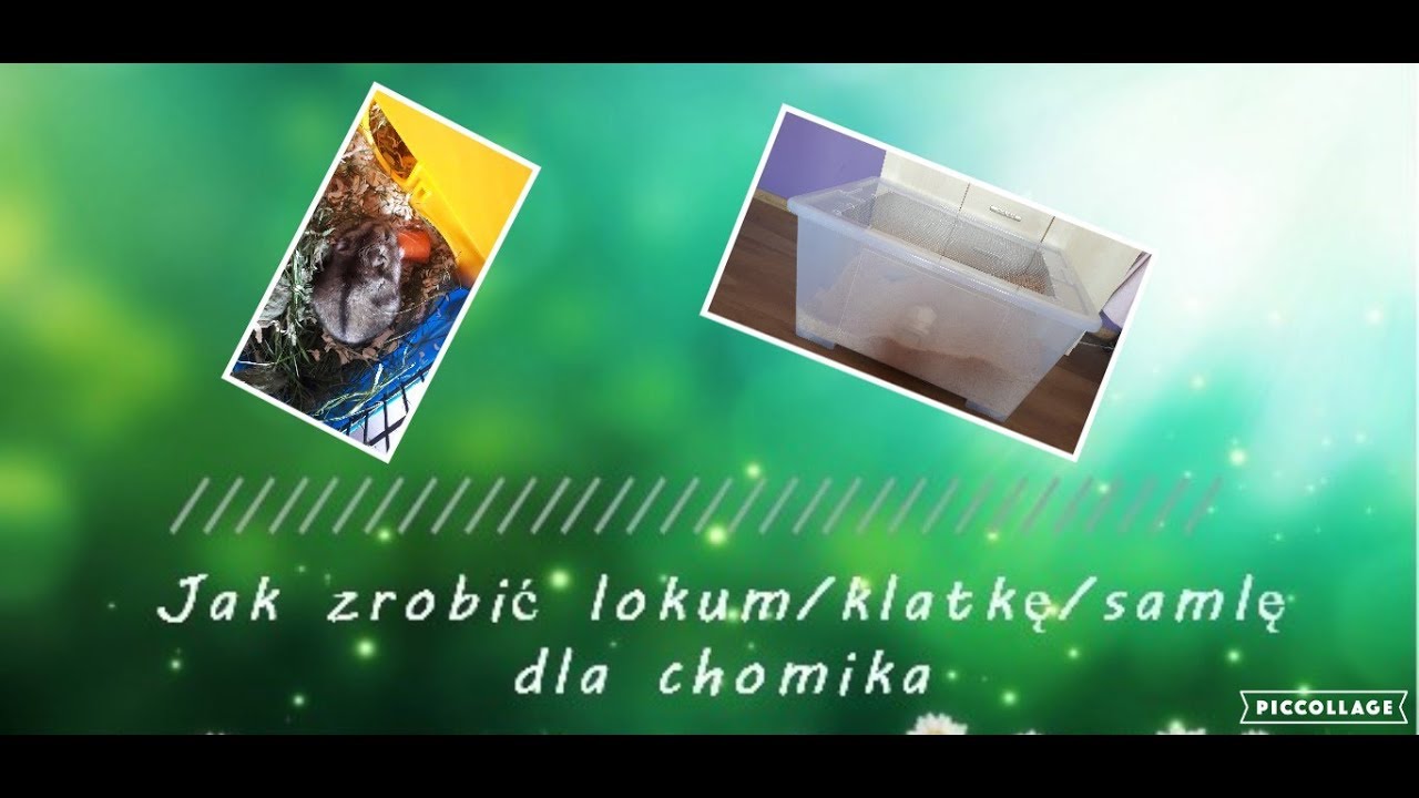Jak przygotować lokum/klatkę/samlę dla chomika | Jak zrobić klatkę z pudełka?