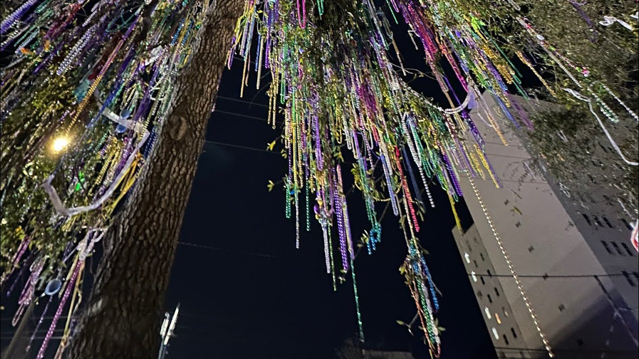 Mardi Gras New Orleans Vlog