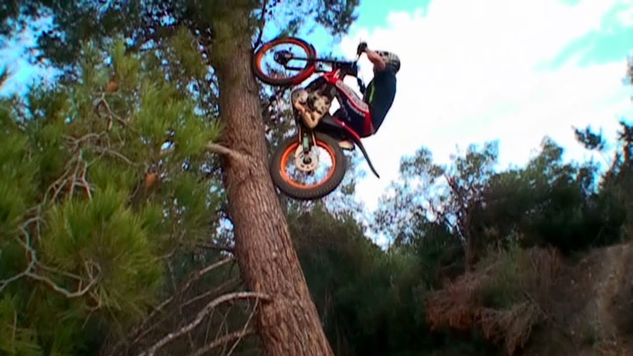 Bike Trial Stunts ⭐ 2024