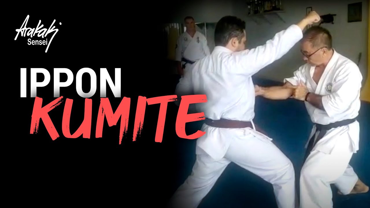 A PROFUNDIDADE DO IPPON KUMITE - KARATE RAIZ | Helio Arakaki Sensei