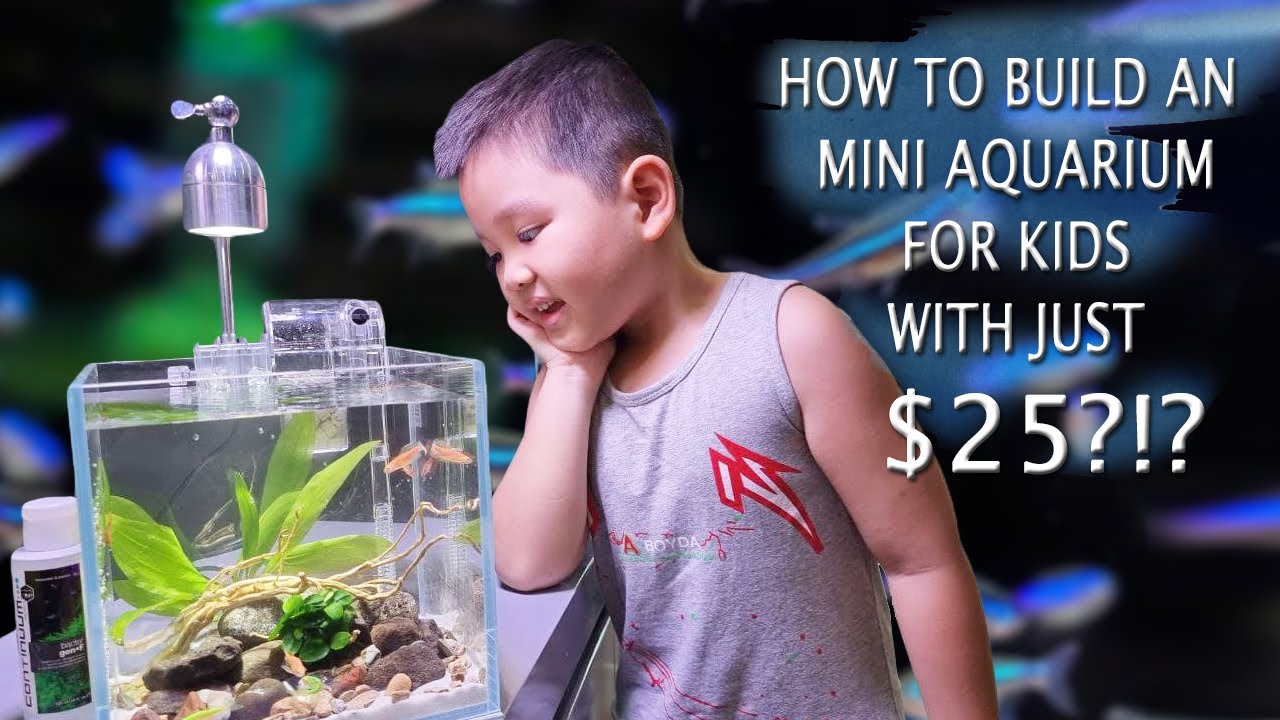 How To Build A Mini Aquarium For Kids In 5 Minutes! - Hướng Dẫn Set Bể Mini Cho B&eacute; Trong 5 Ph&uacute;t!