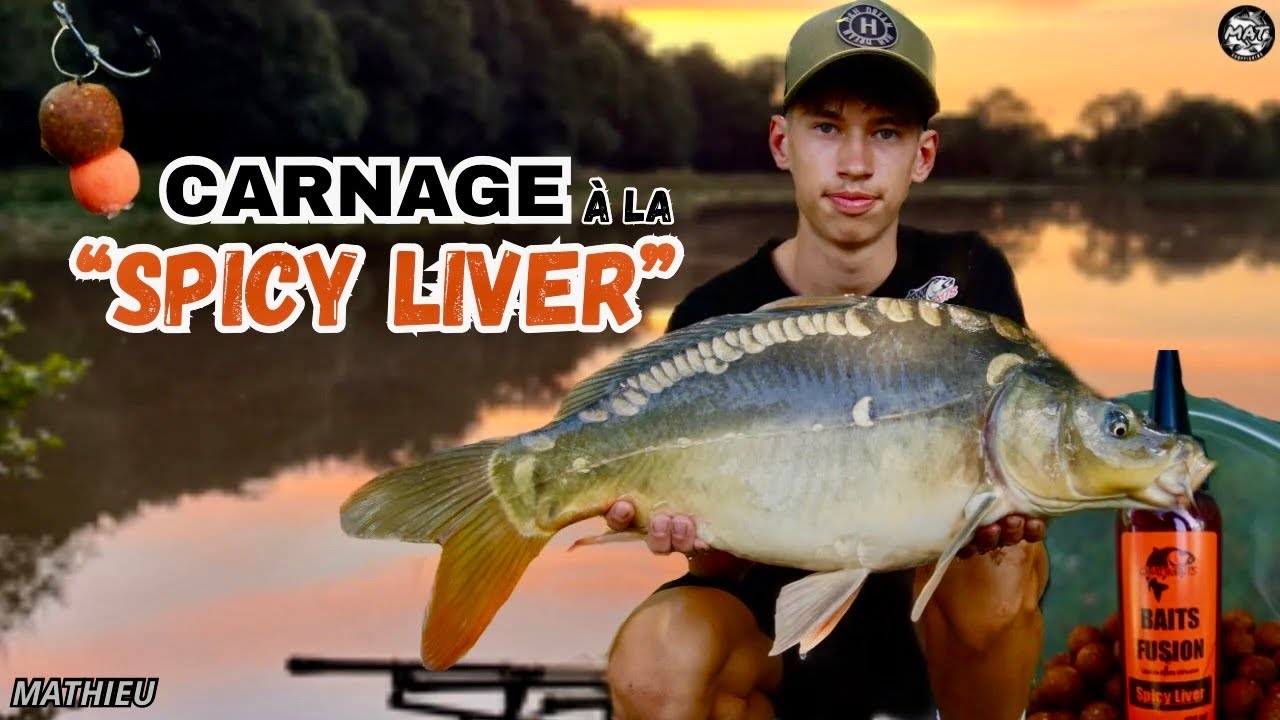 FISHING FILM: 30H de pêche à la carpe à la découverte d’une bille magique (Qualibaits)