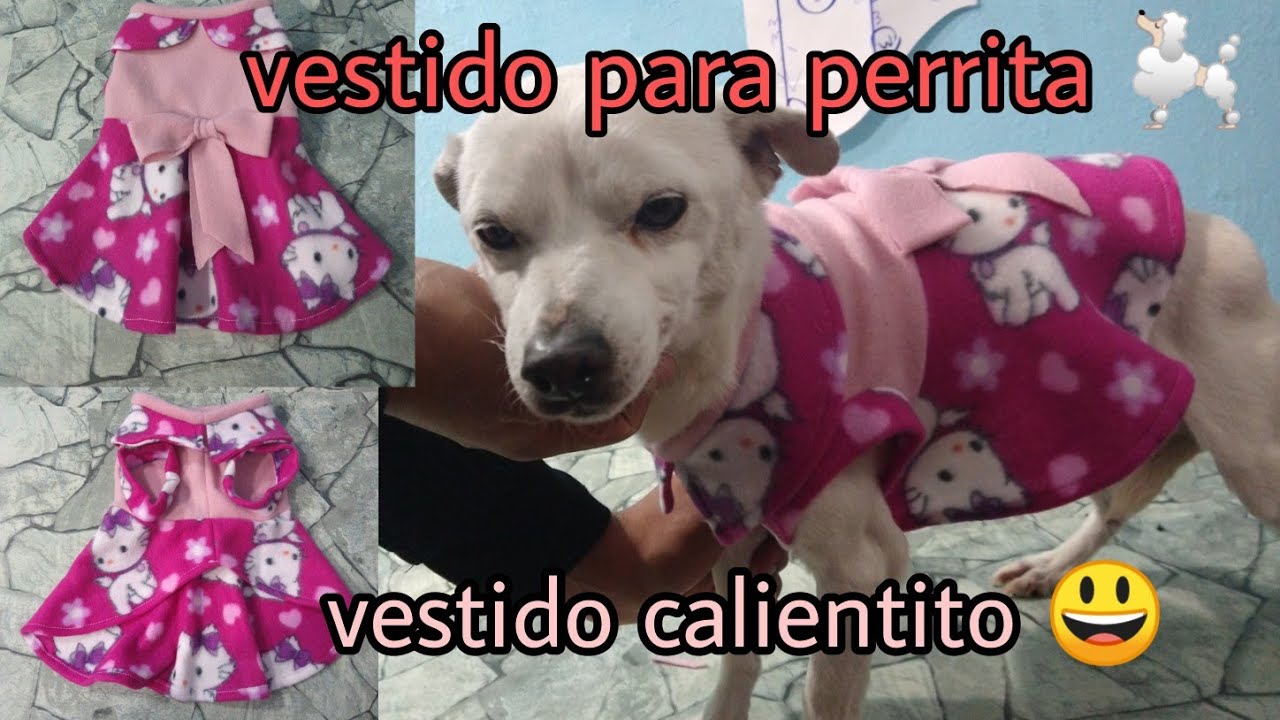 CÓMO HACER (VESTIDO) PARA PERRITA A PARTIR DE MOLDE)  transformar✅ patrón ✂️para perrito en vestido💯