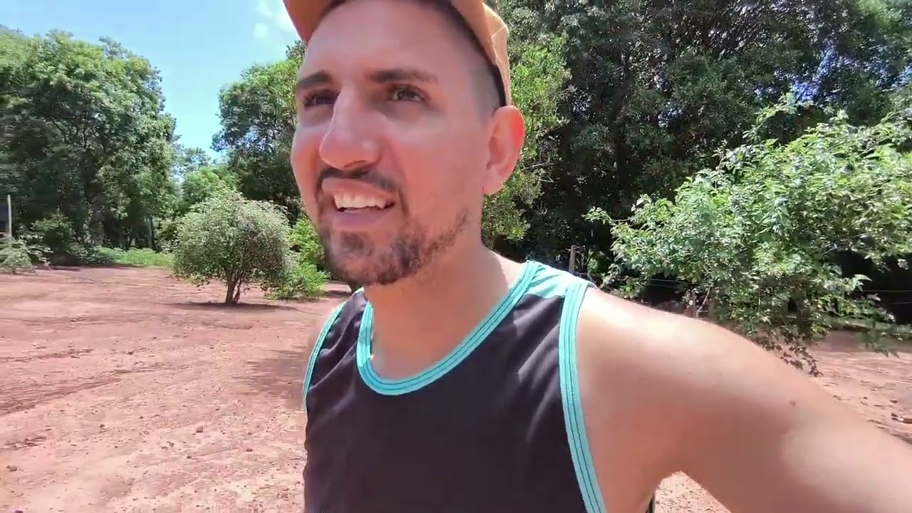 Mostrando como os bezerros que foi criado na mamadeira estar agora 🤠🐮!!!