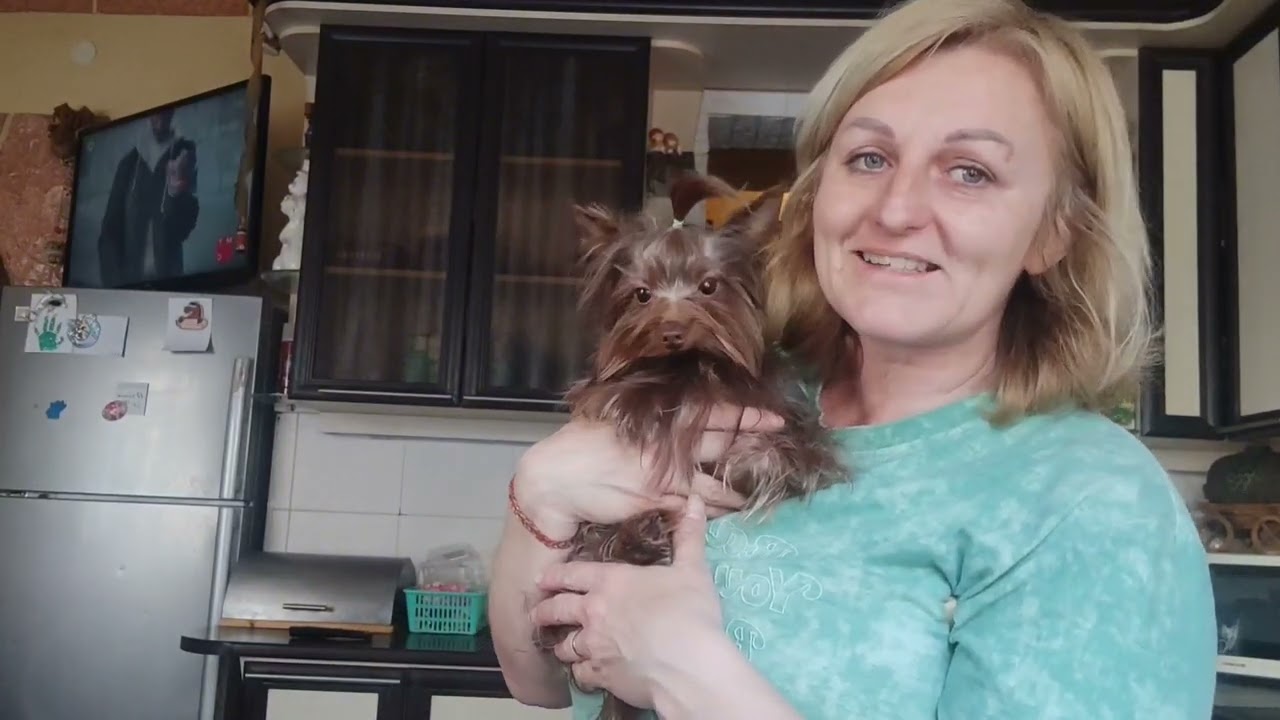 Ищем свободную семью‼️🤗🐾 Продажа доставка по миру+79788972514