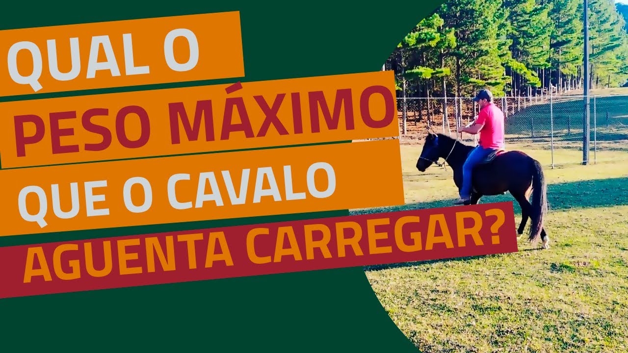 Qual o máximo de Peso que o Cavalo pode carregar? Aprenda as formas de calcular...