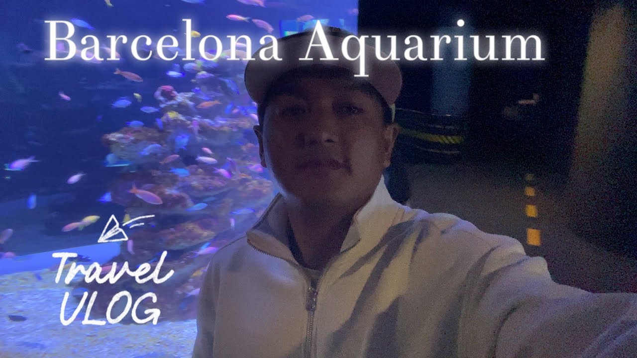 #L’Aquàrium de Barcelona#barcelonaspain #aquarium 