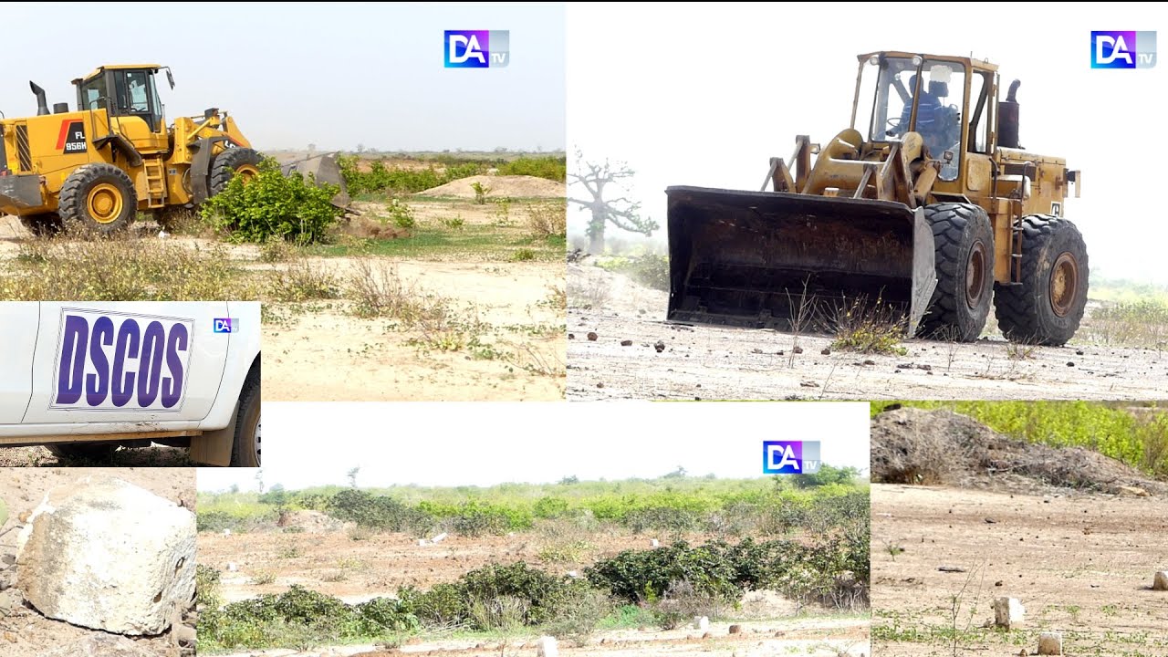 Mauvaise gestion foncière à Chérif Lô : La Descos détruit les bornes du maire à Thiaoune Bambara